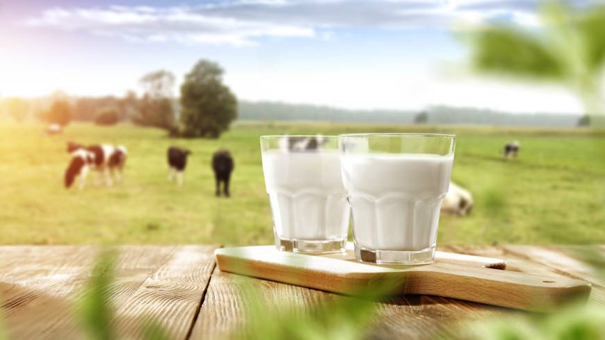В Архангельской области завод начал выпуск обогащенного селеном молока
