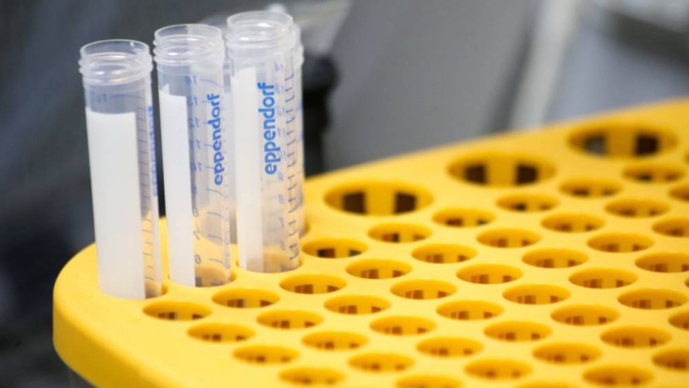 Заявления о сроках сохранения антител к коронавирусу оценили в МГУ