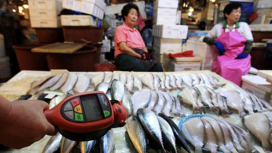 В Фукусиме выловили зараженную радиацией рыбу