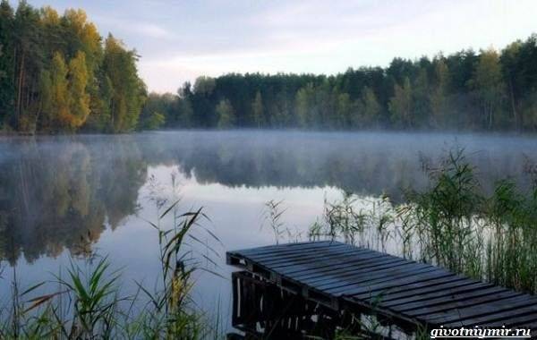 15 лучших рыболовных мест Калининградской области