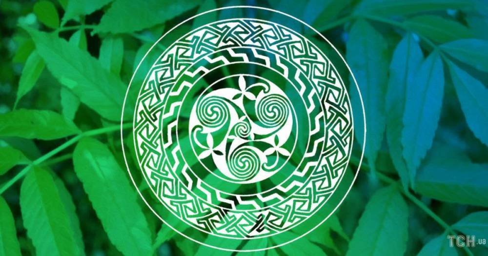 Кельтский календарь деревьев-2021: месяц ясеня