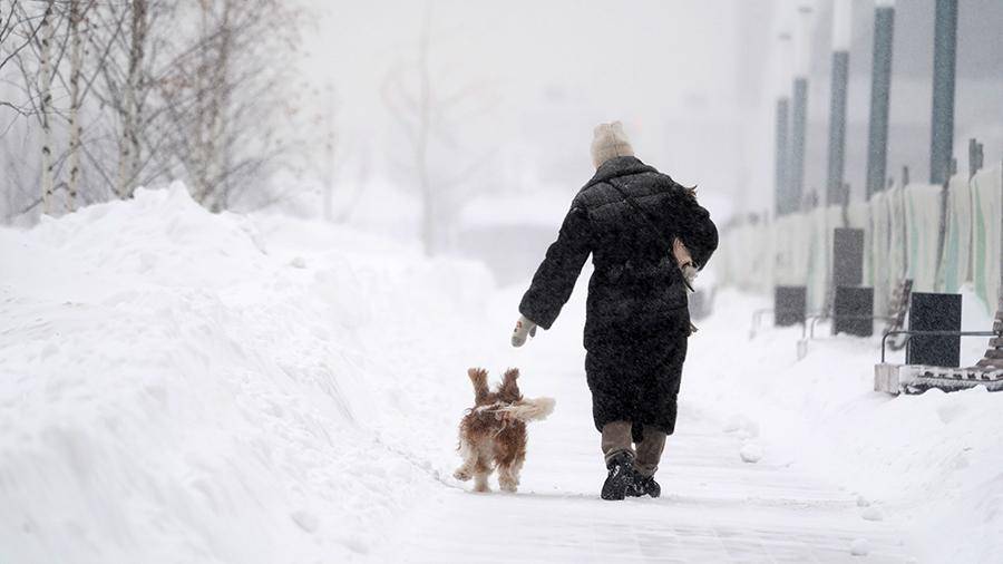 Синоптики рассказали о погоде в Москве 24 февраля