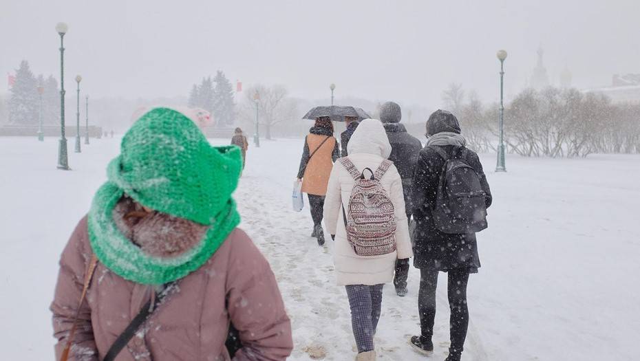 В Новгородской области из-за метели ввели свободное посещение школ