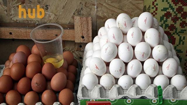 Украинские яйца выходят на новый рынок
