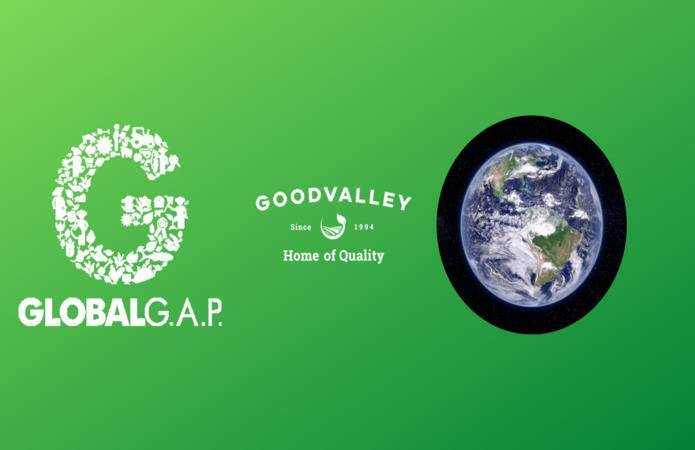 Ґудвелли Украина подтвердила сертификат GlobalG.A.P.