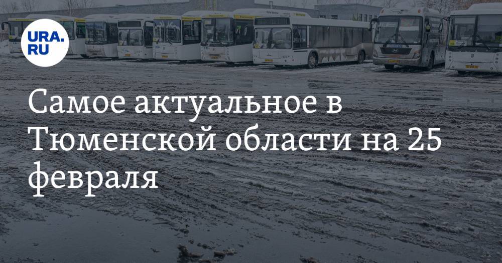Самое актуальное в Тюменской области на 25 февраля. Автобусное сообщение ограничено, полицейских арестовали по сфабрикованному делу
