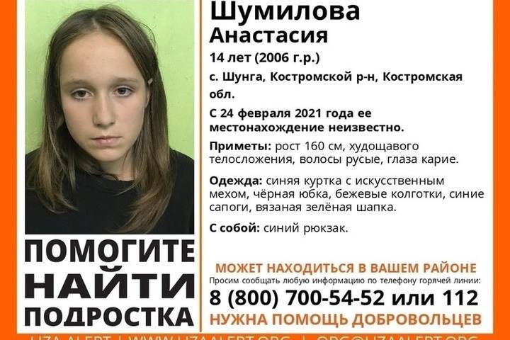 Костромские поисковики просят помощи в поисках 14-летней девочки-подростка