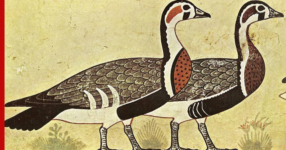 Археологи обнаружили неизвестный вид гуся на картине Древнего Египта