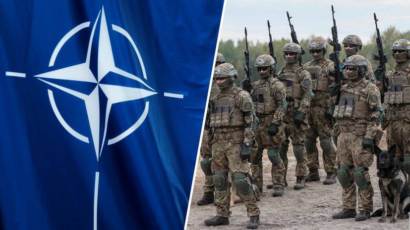 «Форма политической пропаганды»: почему Зеленский заявил об «открытых дверях НАТО» для Украины