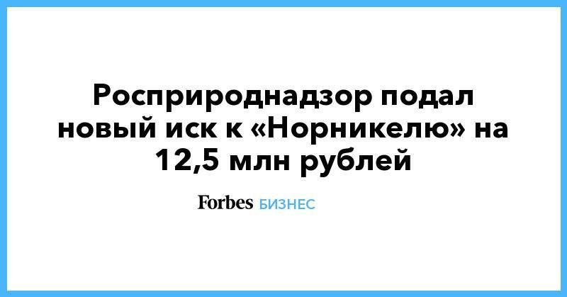 Росприроднадзор подал новый иск к «Норникелю» на 12,5 млн рублей