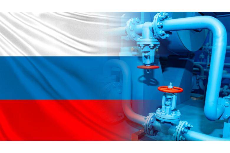 Российский газ не сможет заменить российский: мнение председателя нефтегазовой компании ФРГ