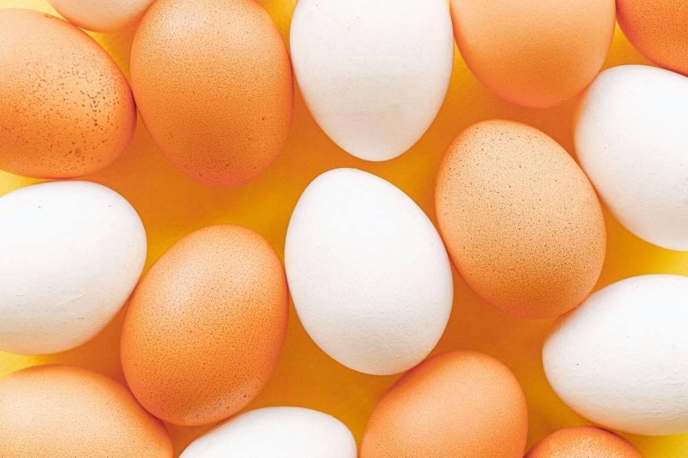 Жареное, вареное или омлет: какой способ приготовления яиц считается наиболее полезным