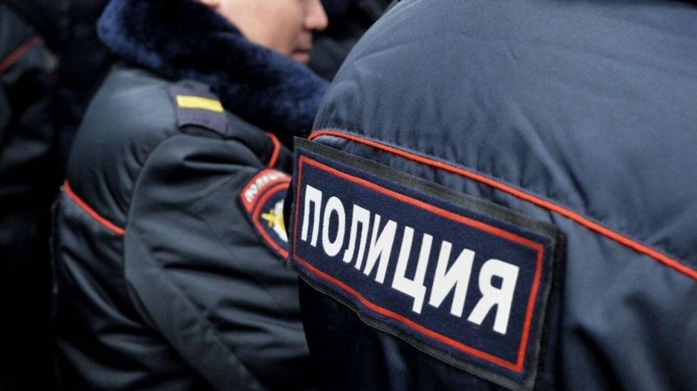 Полицейские сняли с рейса Мурманск — Москва двух дебоширов