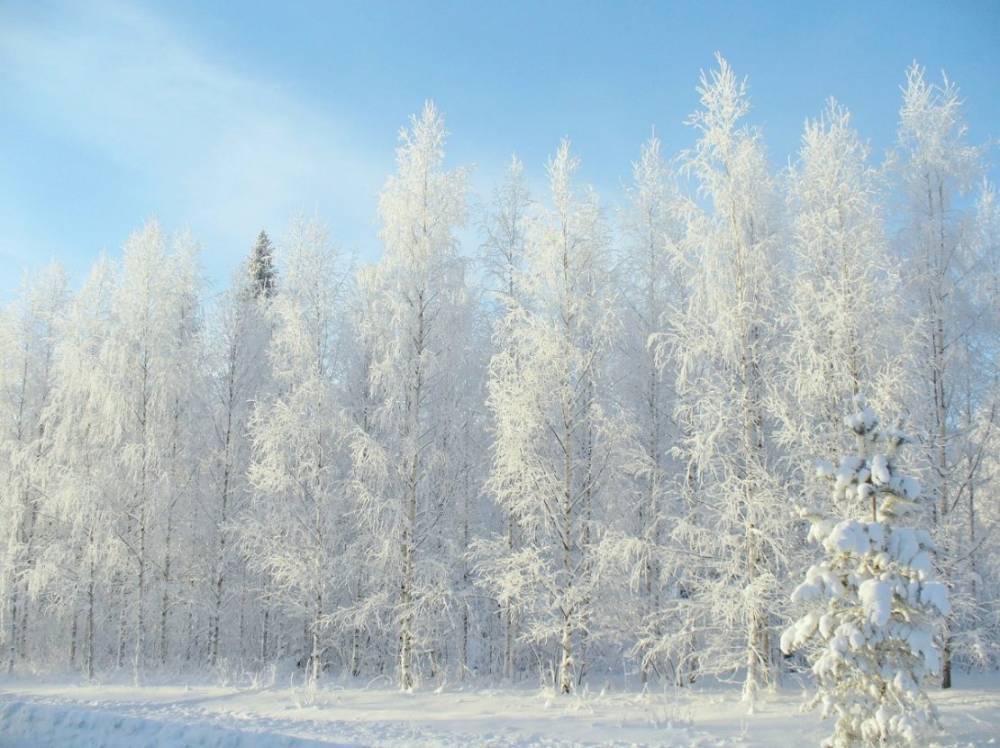 Синоптики обещают петербуржцам возвращение морозов в марте