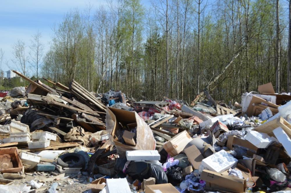 Несколько незаконных мусорных полигонов нашли в Петербурге за год