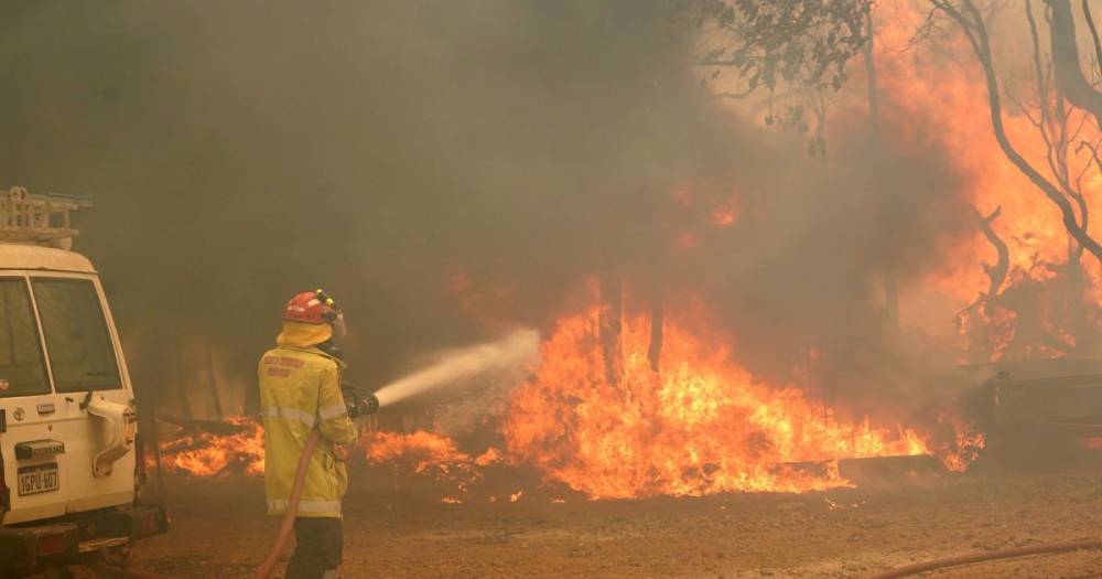 В Австралии снова разворачиваются лесные пожары: площадь возгорания быстро увеличивается