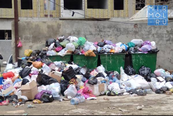 Вывоз мусора – социальный бизнес