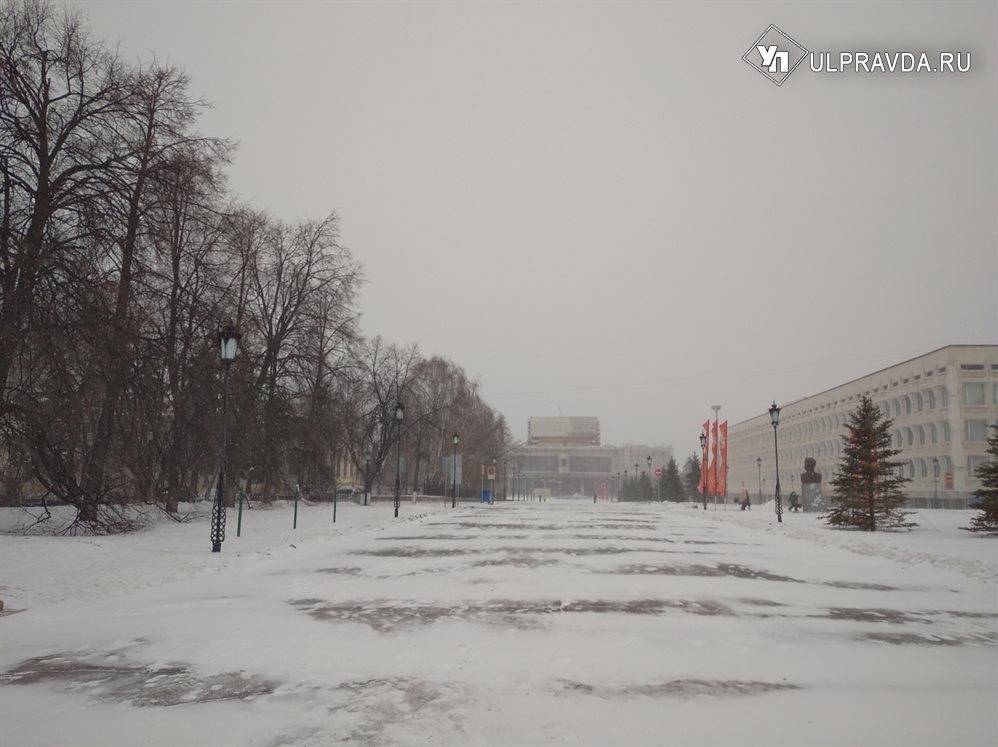 Мокрый снег и +3. Погода в Ульяновской области 4 февраля