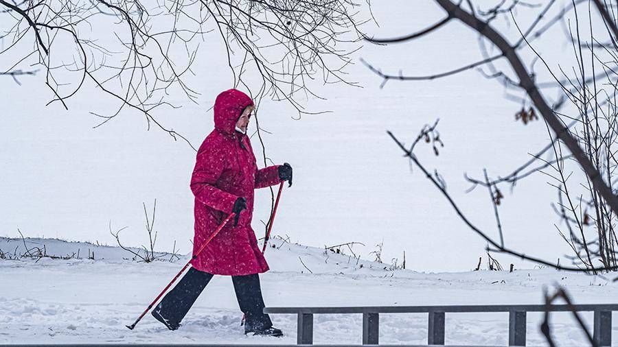 Синоптики рассказали о погоде в столичном регионе 4 февраля