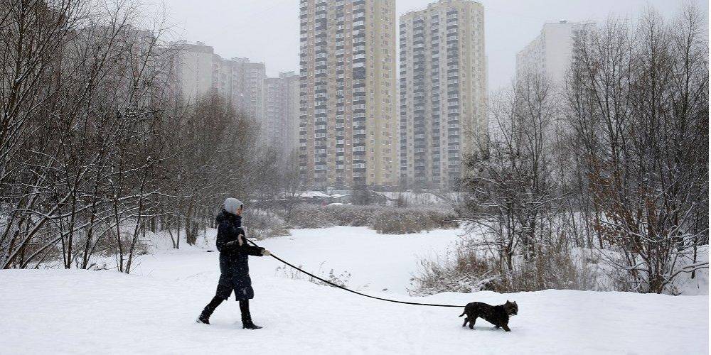 В Киеве ухудшится погода: до конца суток ожидается гололед и сильный ветер