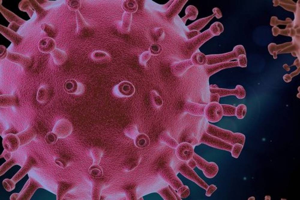 Британские врачи считают, что в мире циркулирует около четырех тысяч штаммов коронавируса