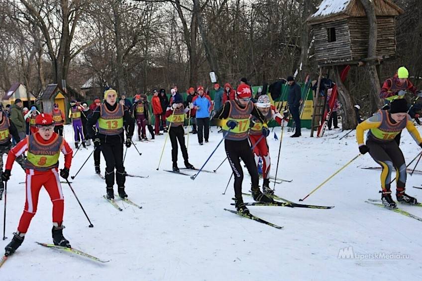 Лыжники бегали у Чернолеса