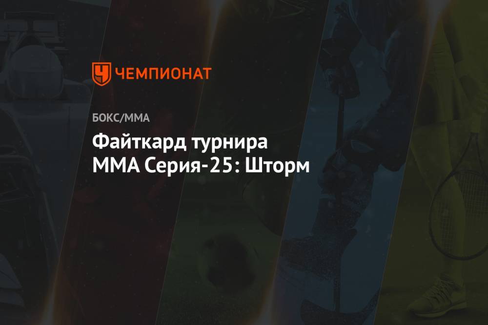 Файткард турнира MMA Серия-25: Шторм
