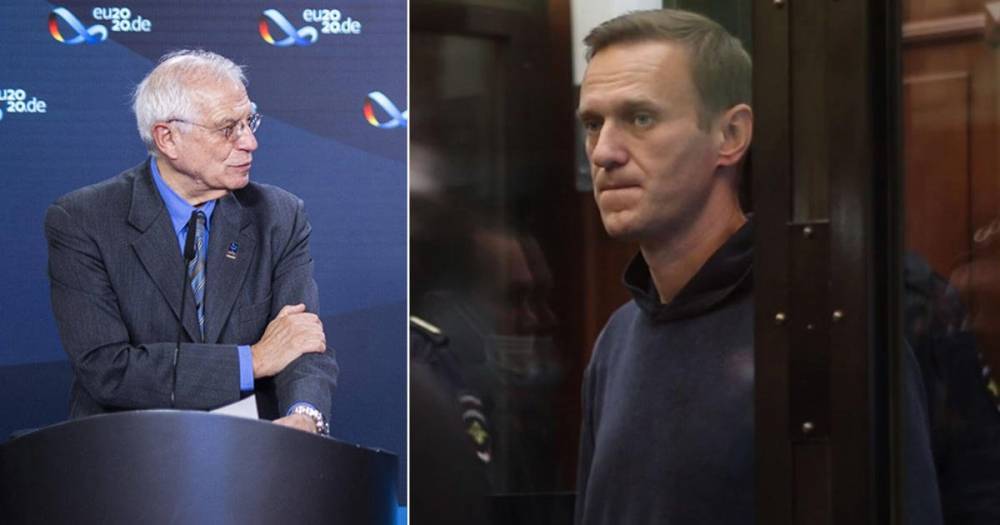 Боррель сможет увидеться с Навальным в СИЗО на общих основаниях