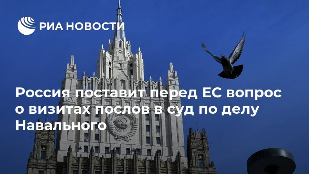 Россия поставит перед ЕС вопрос о визитах послов в суд по делу Навального