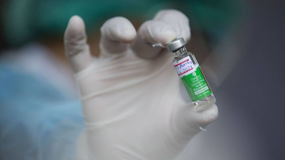 Власти Парагвая закупят у России вакцину от COVID-19 "Спутник V"