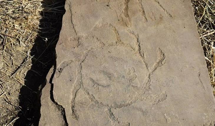 Археологи нашли в Ингушетии каменную стелу с неизвестными иероглифами