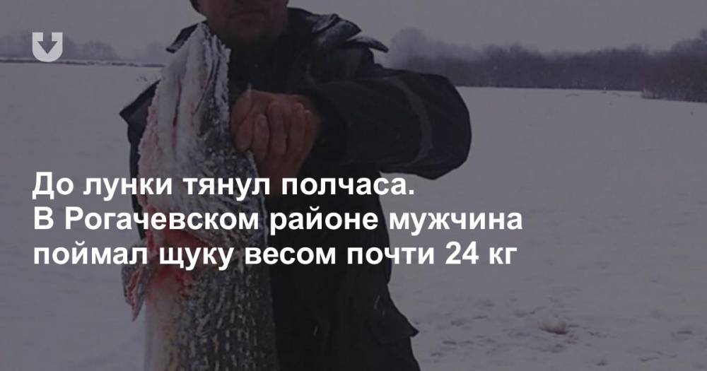 До лунки тянул полчаса. В Рогачевском районе мужчина поймал щуку весом почти 24 кг
