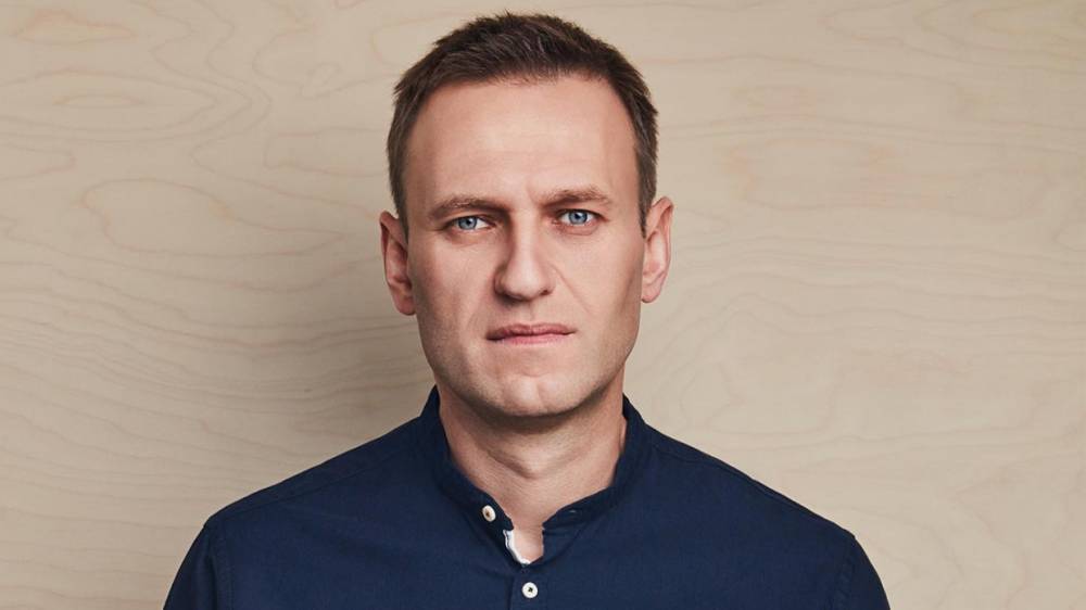 Алексей Навальный прибыл в суд по делу о клевете в отношении ветерана ВОВ