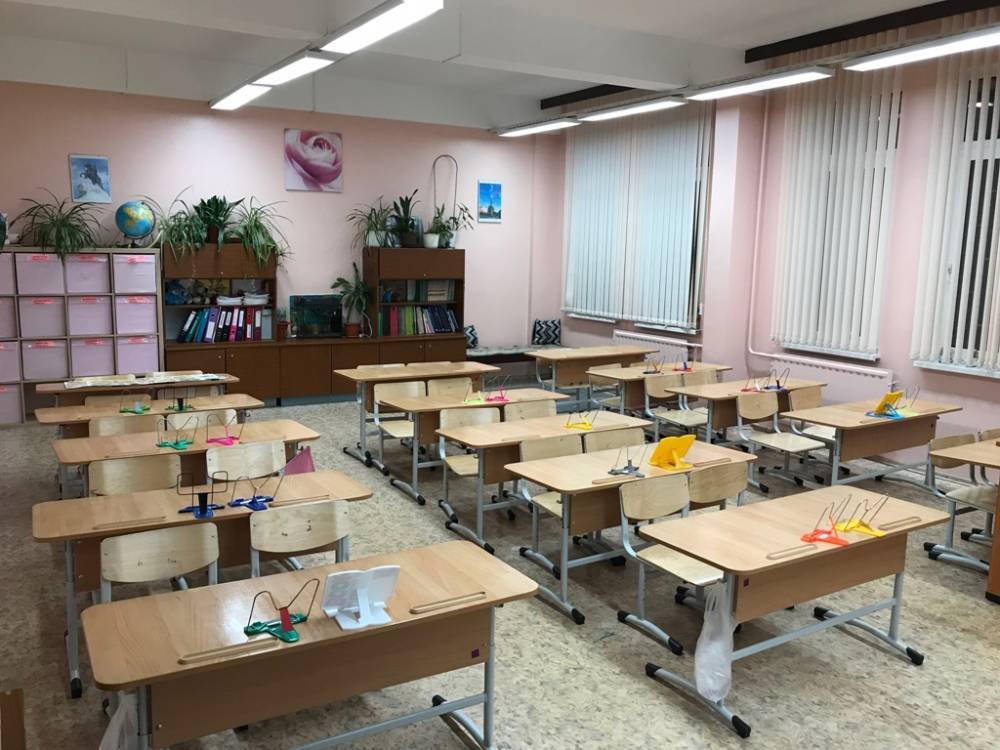 В Петербурге 47 школьных классов учатся дистанционно