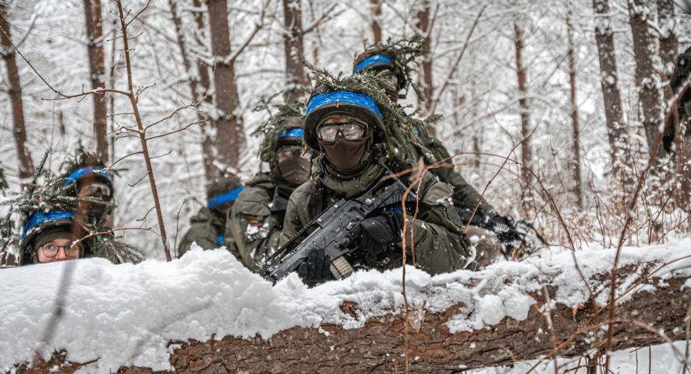 Общие европейские войска "ослабят" безопасность Балтии, заявили в Литве