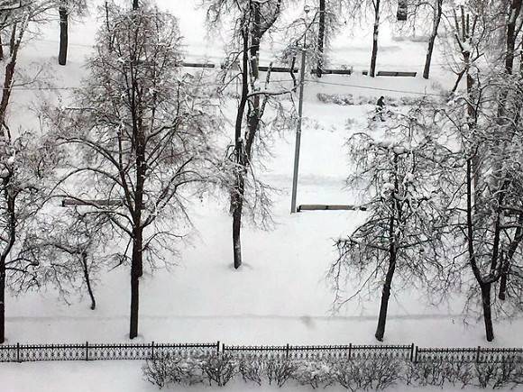 В Москве сохранится морозная погода