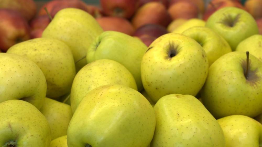 Врач из Саранска раскрыла пользу мороженых яблок