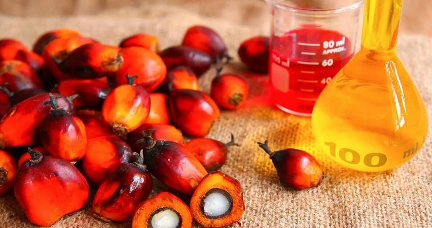 Министр ЕЭК призвал пищепром ЕАЭС готовиться к ужесточению требований к пальмовому маслу
