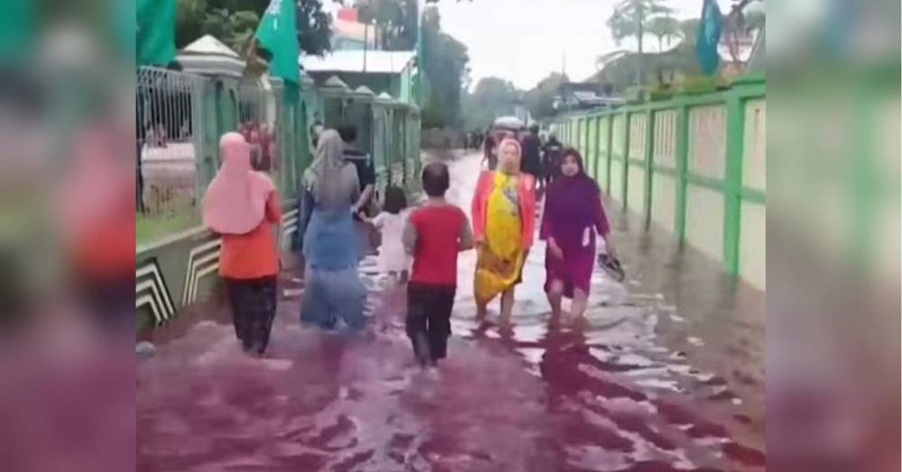 Как в библейском пророчестве: деревню в Индонезии затопили «реки крови»