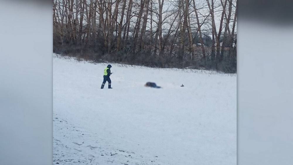 Замерзшее тело мужчины обнаружили рядом с федеральной трассой в Пензенской области