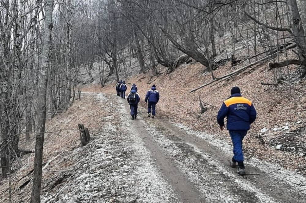 Пропавшая в лесах Чечни группа местных жителей найдена