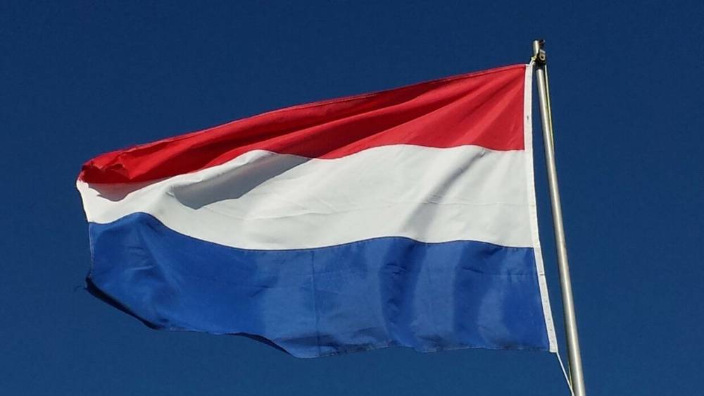 Доклады "Алмаз-Антея" о крушении MH17 рассмотрят в суде Нидерландов