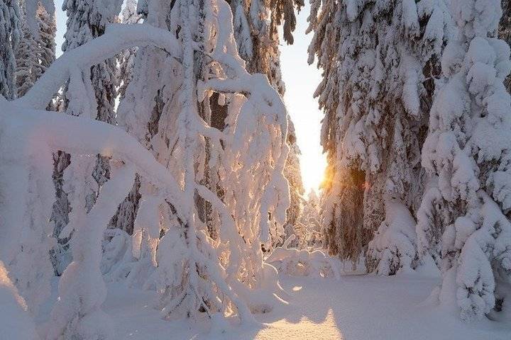 До 36 градусов мороза обещают в Татарстане