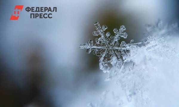 Россиян предупредили о зимних температурных аномалиях