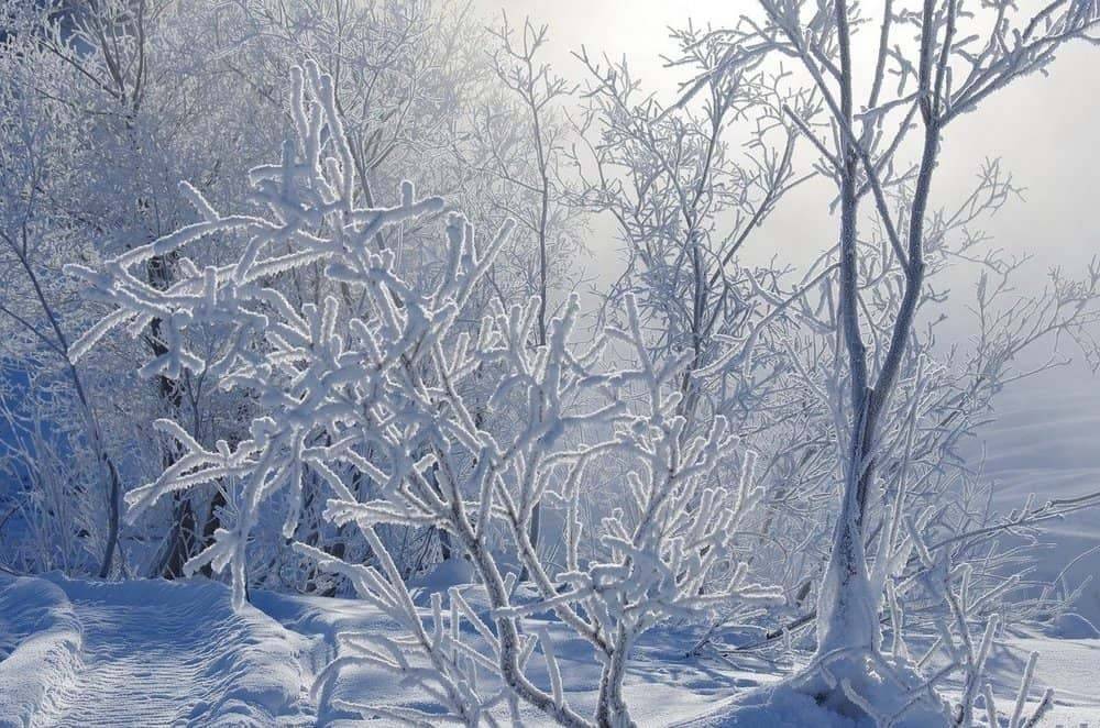 Снег и слабая метель ожидаются в Смоленской области в среду