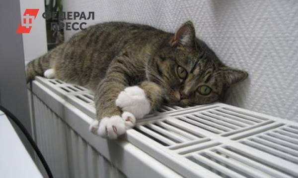 В России решили увеличить штрафы за холодные батареи