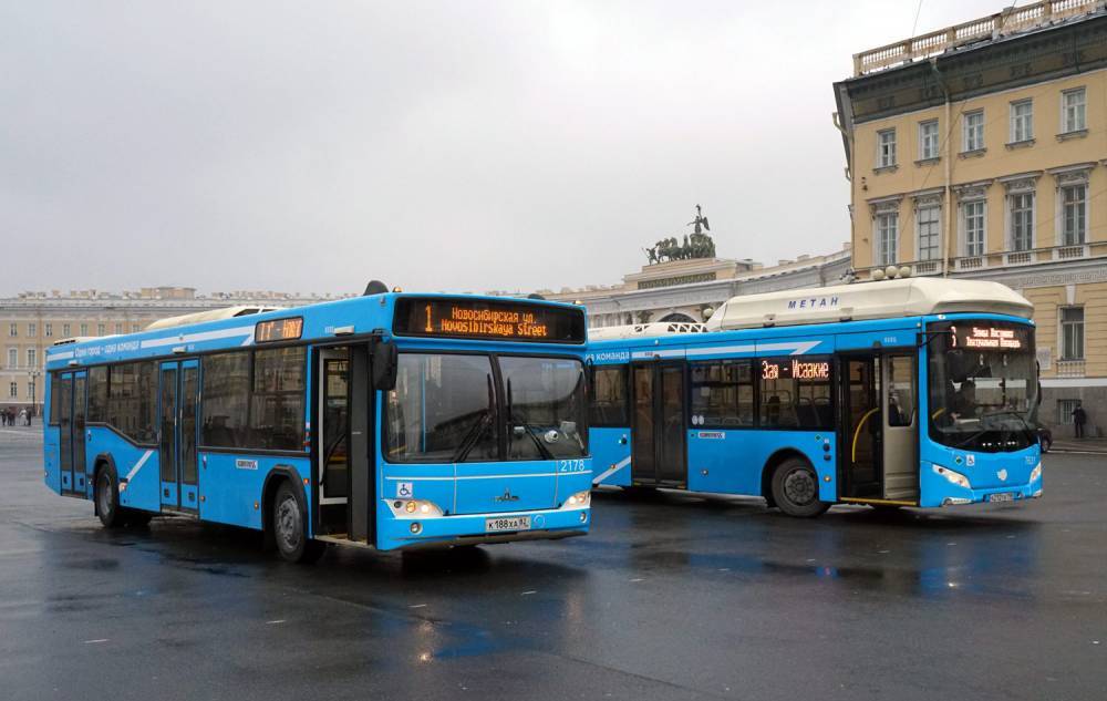 8 популярных маршрутов в Петербурге усилили 39 дополнительных автобусов