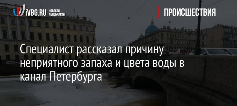 Специалист рассказал причину неприятного запаха и цвета воды в канал Петербурга