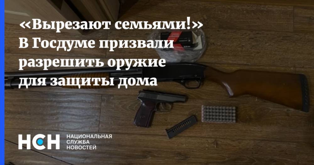 «Вырезают семьями!» В Госдуме призвали разрешить оружие для защиты дома