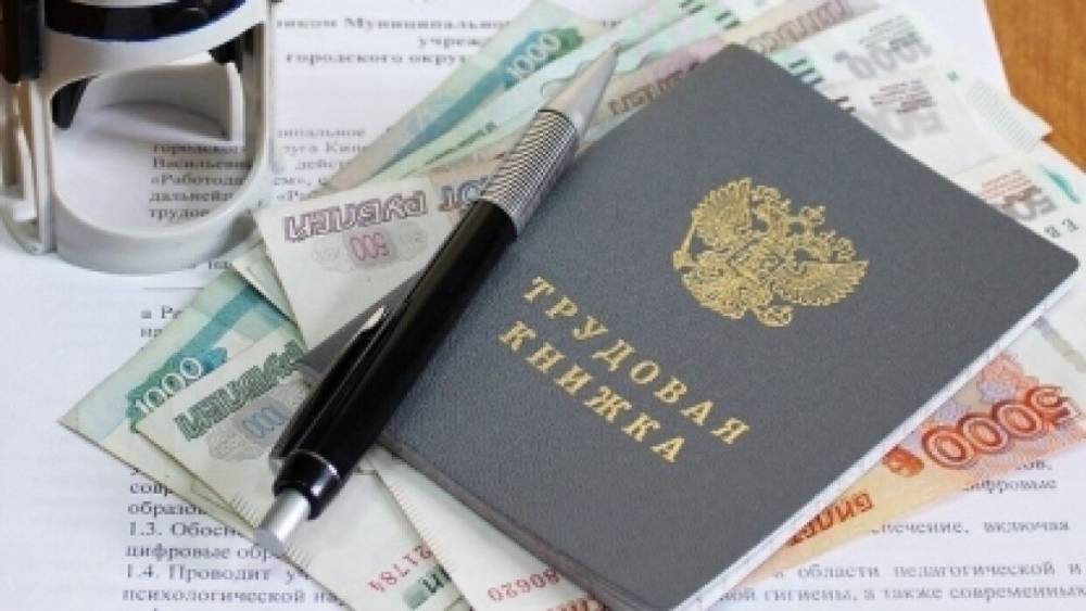 Правительство РФ отчитается о ситуации с зарплатами бюджетников до 20 апреля